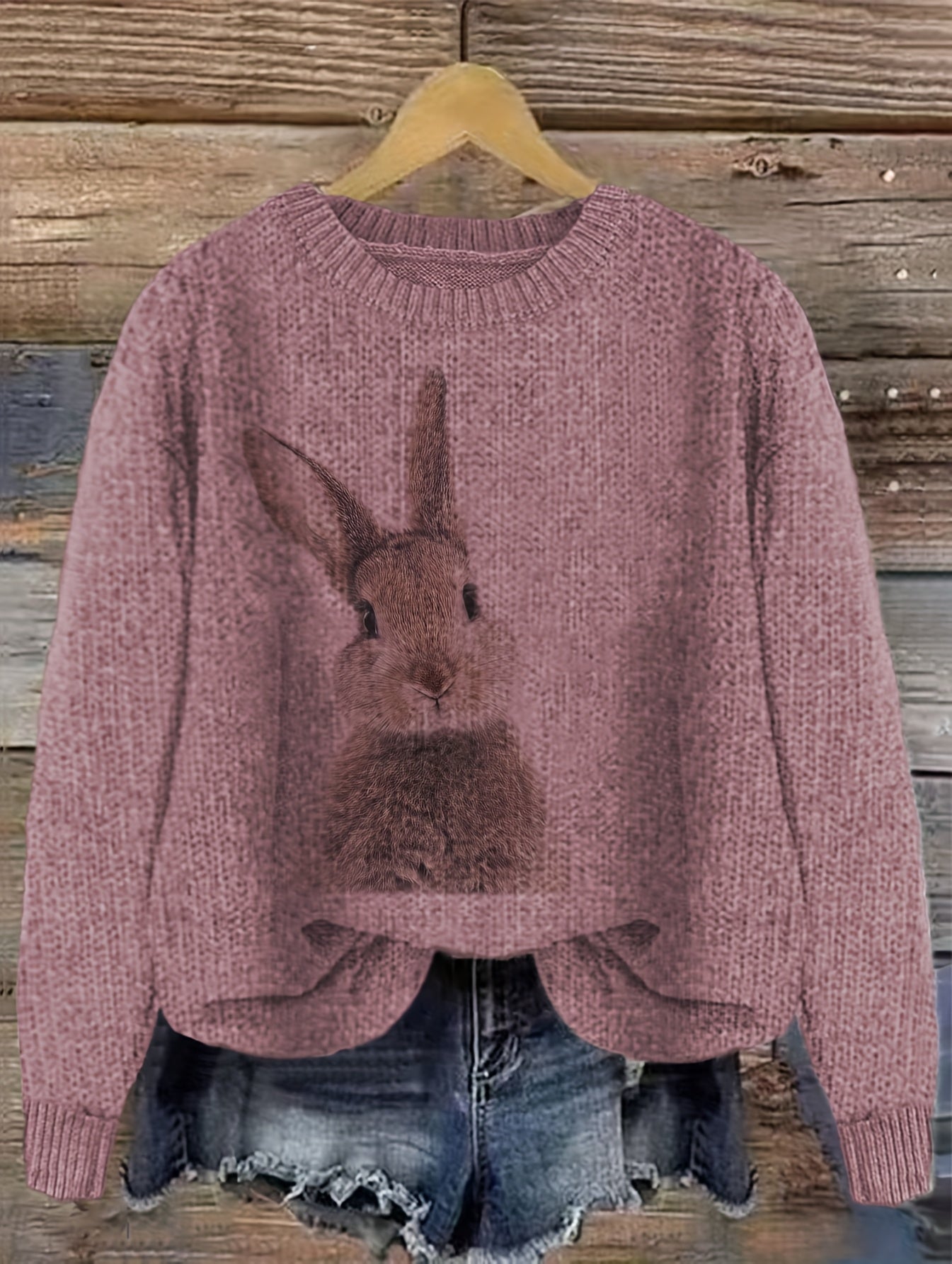 Pullover Sweater with Color Block Rabbit Print